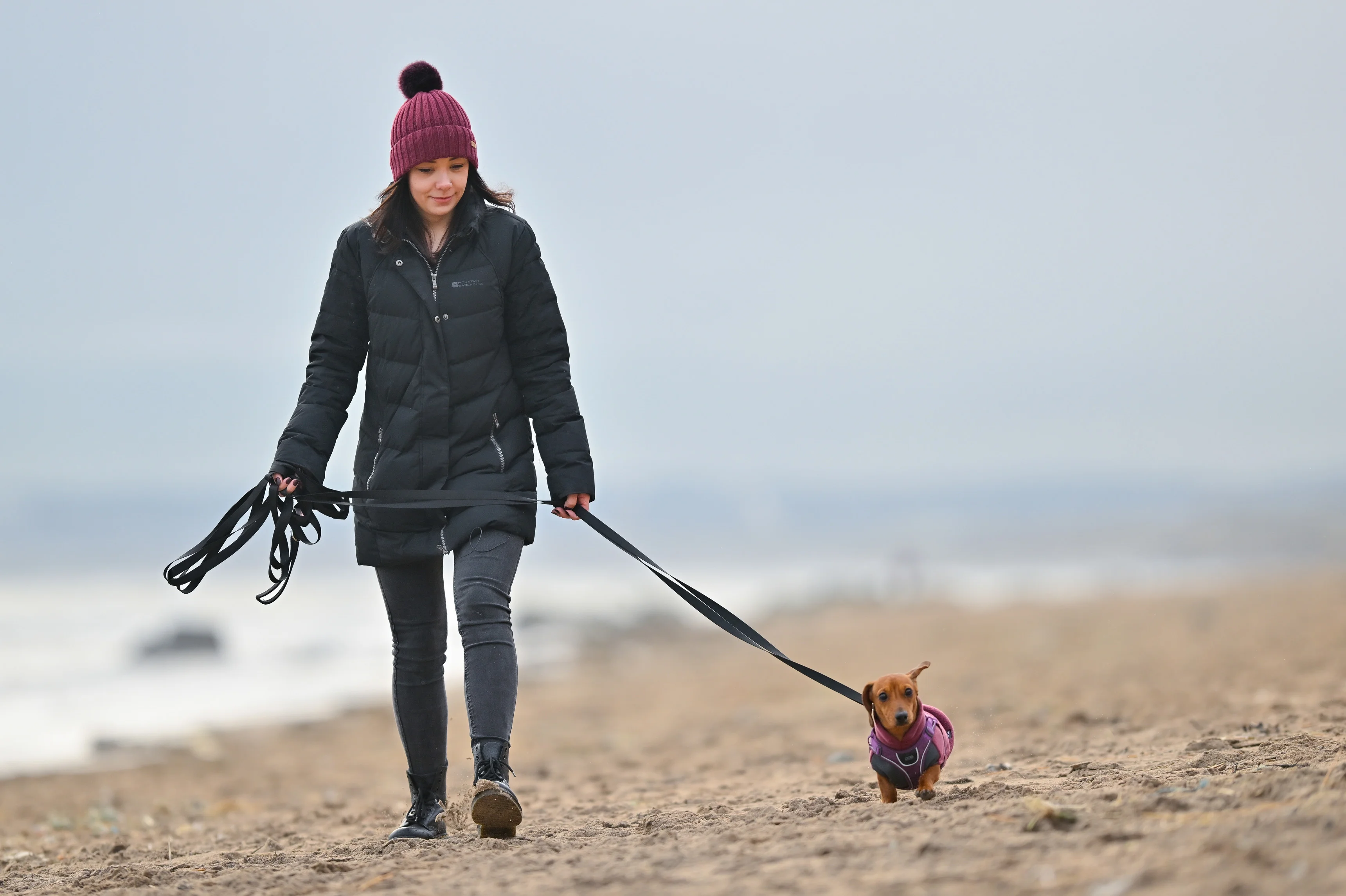 a person walking a dog on a beach