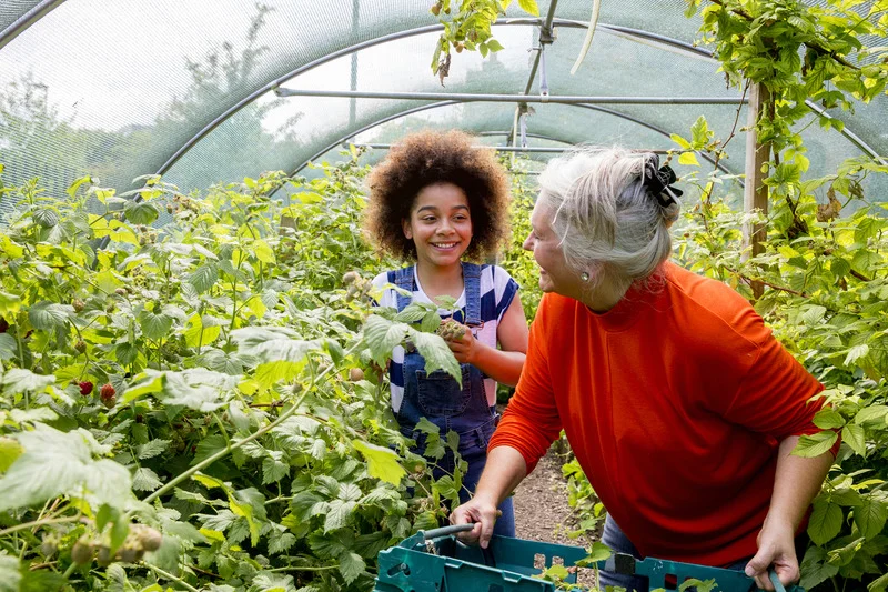 a person and a person in a greenhouse