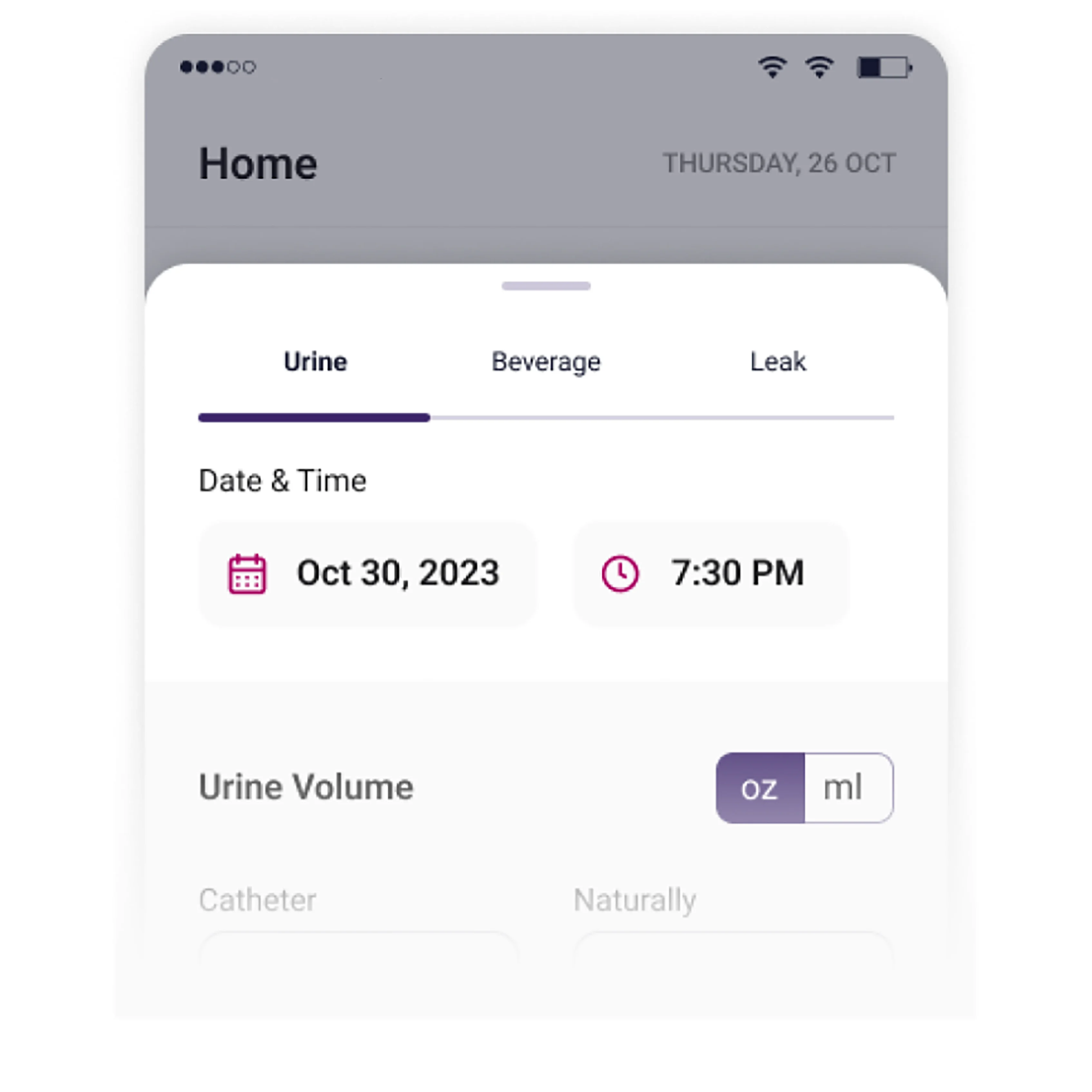graphical user interface, application