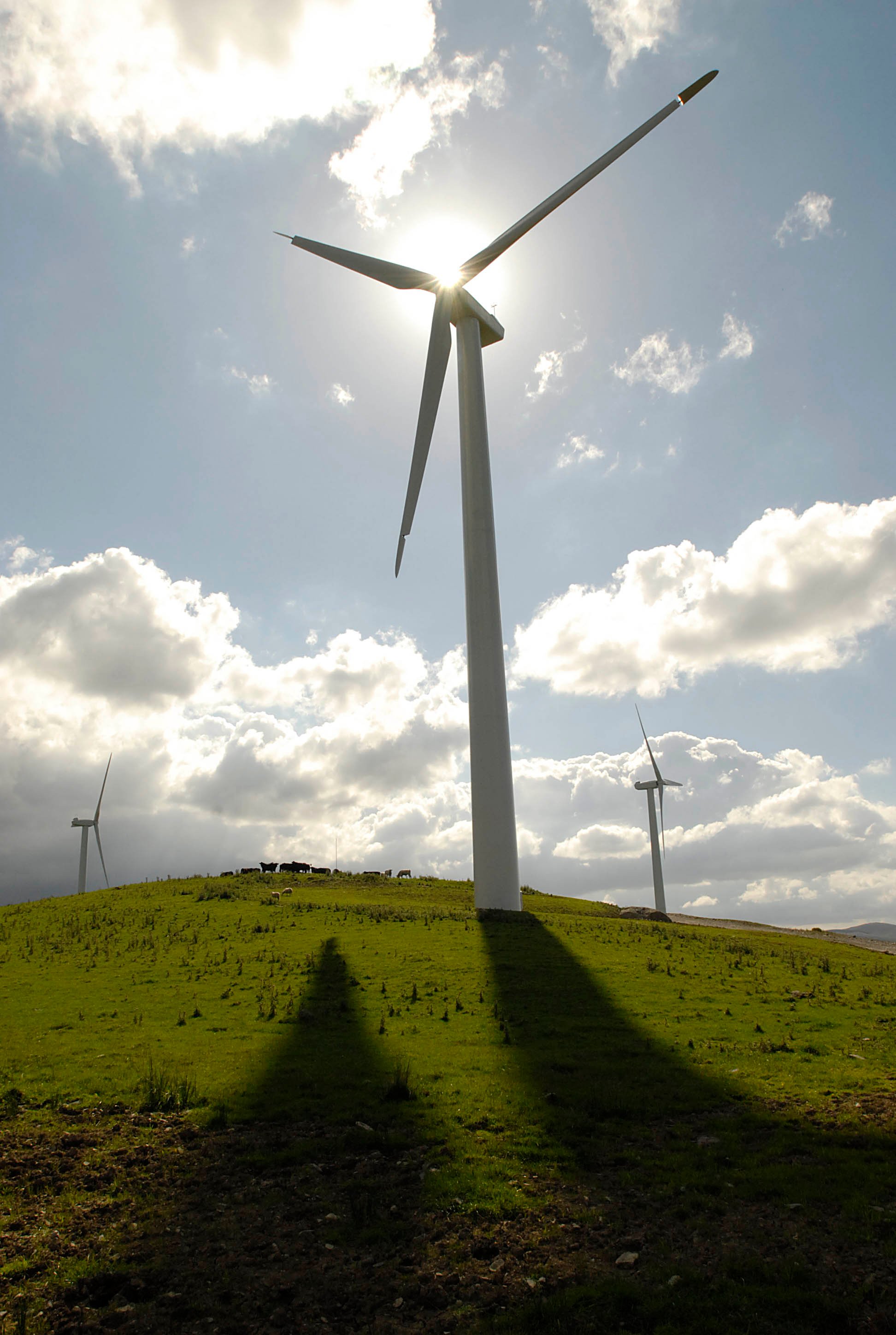 a group of wind turbines